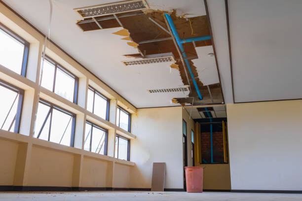 Best 24/7 water damage repair  in Kingston, NY