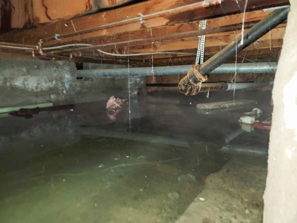 Best 24/7 water damage repair  in Kingston, NY