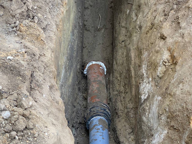 Best Local water damage restoration  in Kingston, NY