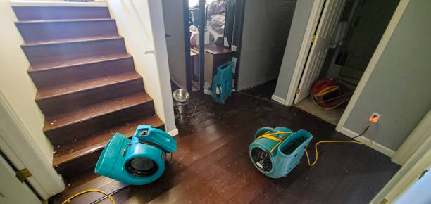 Best Fire Damage Restoration  in Kingston, NY
