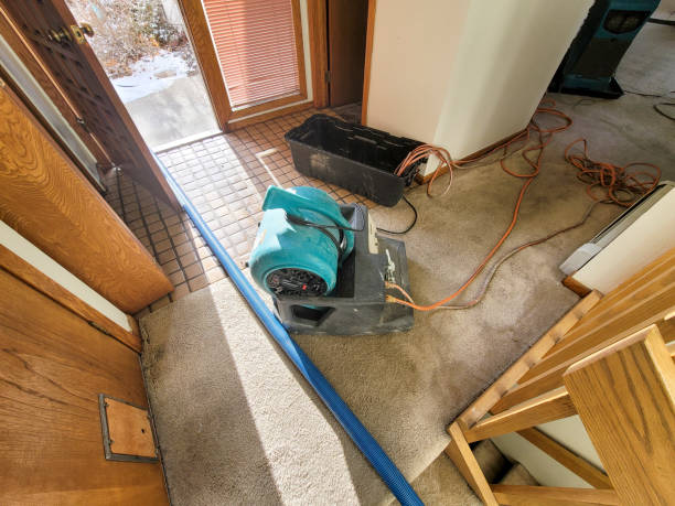 Water damage restoration mold remediation in Kingston, NY