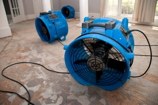 Best Flood restoration services  in Kingston, NY