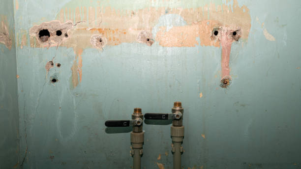  Kingston, NY Water damage restoration Pros