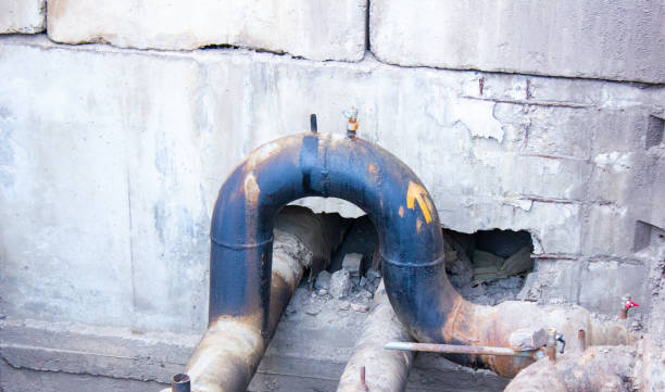 Best Mold removal after water damage  in Kingston, NY
